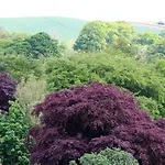 Redfoot Lea Bed And Breakfast