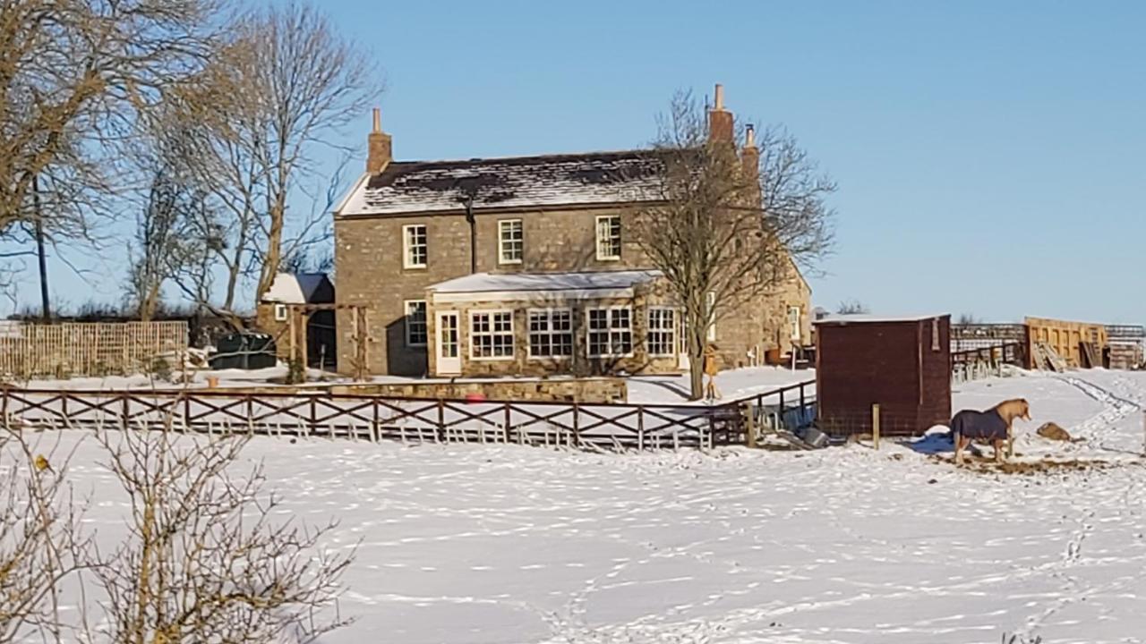 Countryside Escape - The Night Owl Acomodação com café da manhã  Alnwick