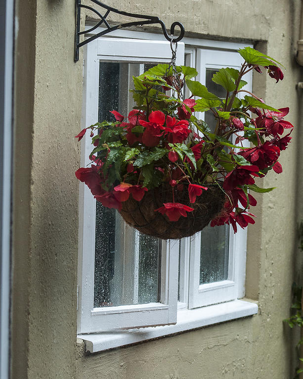 Percy Terrace Alnwick