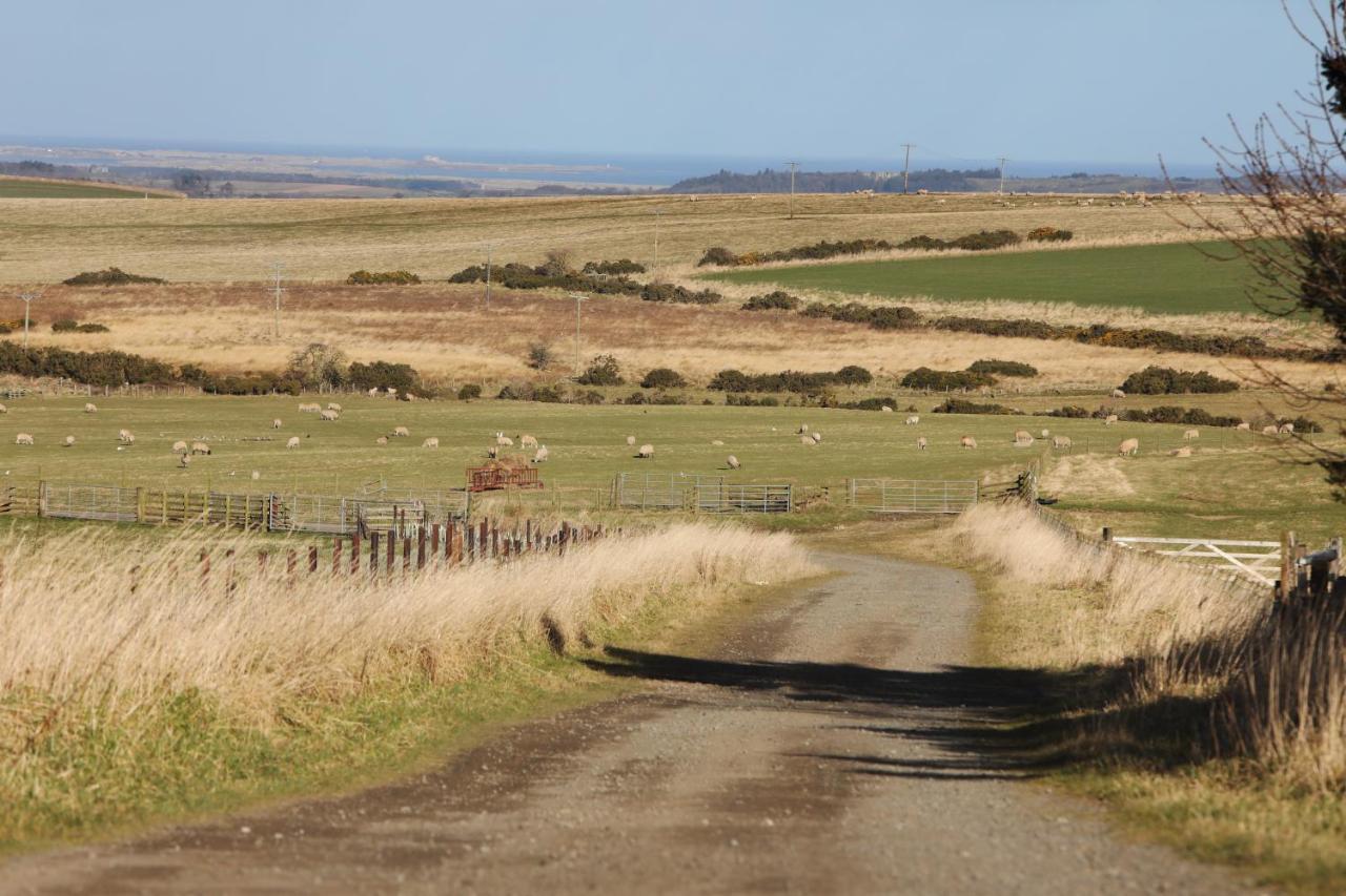 Middlemoor Farm Holidays *