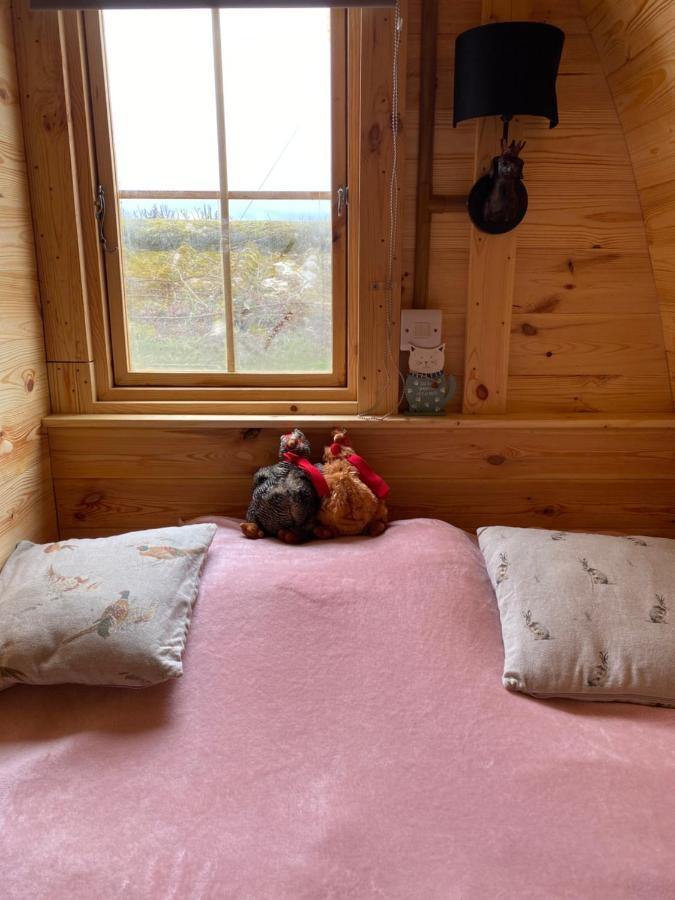 Pinkys Pod At Rock