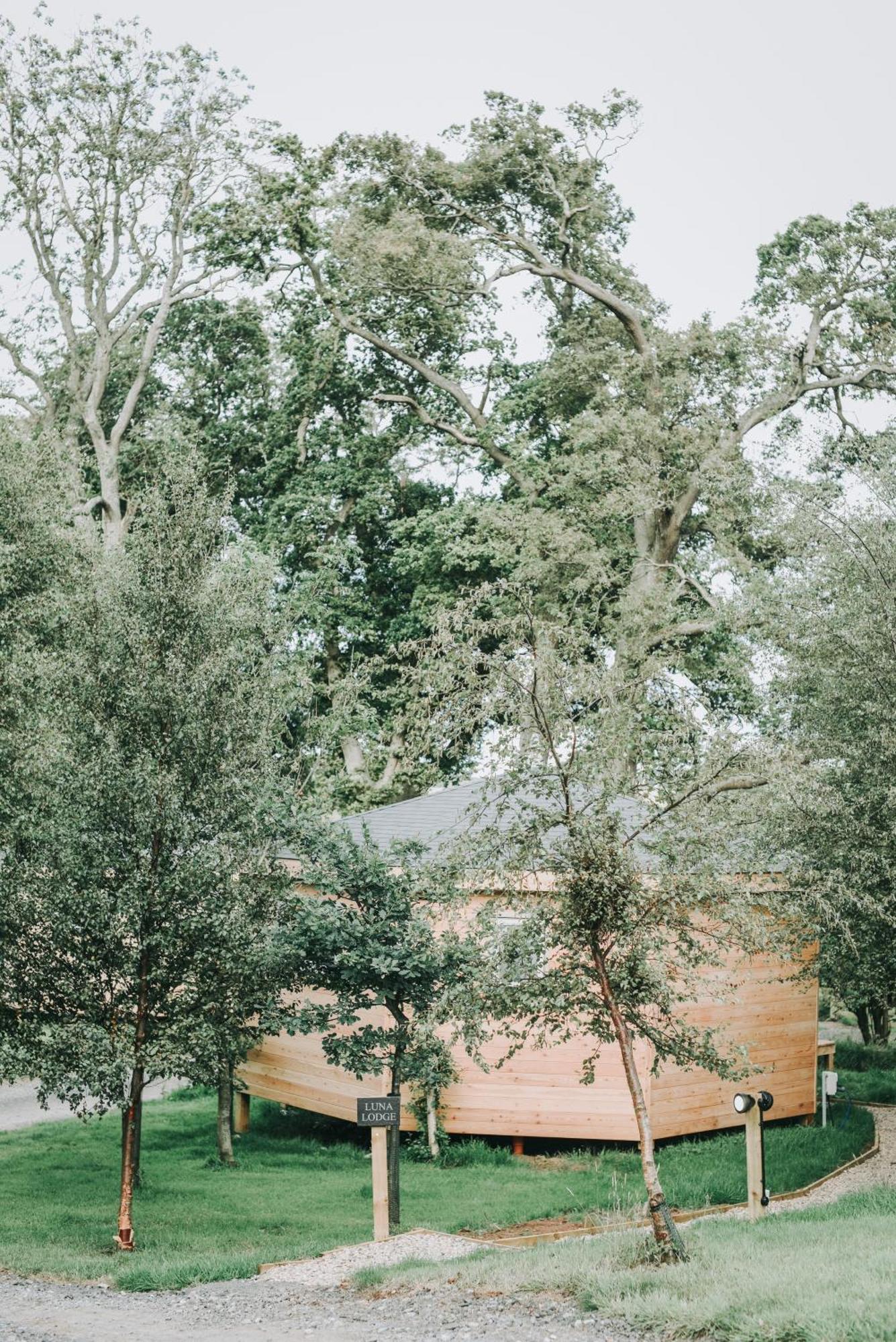 Blossom Plantation