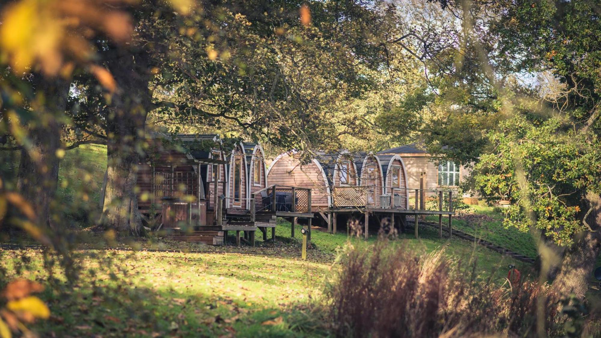 Blossom Plantation Campsite Alnwick