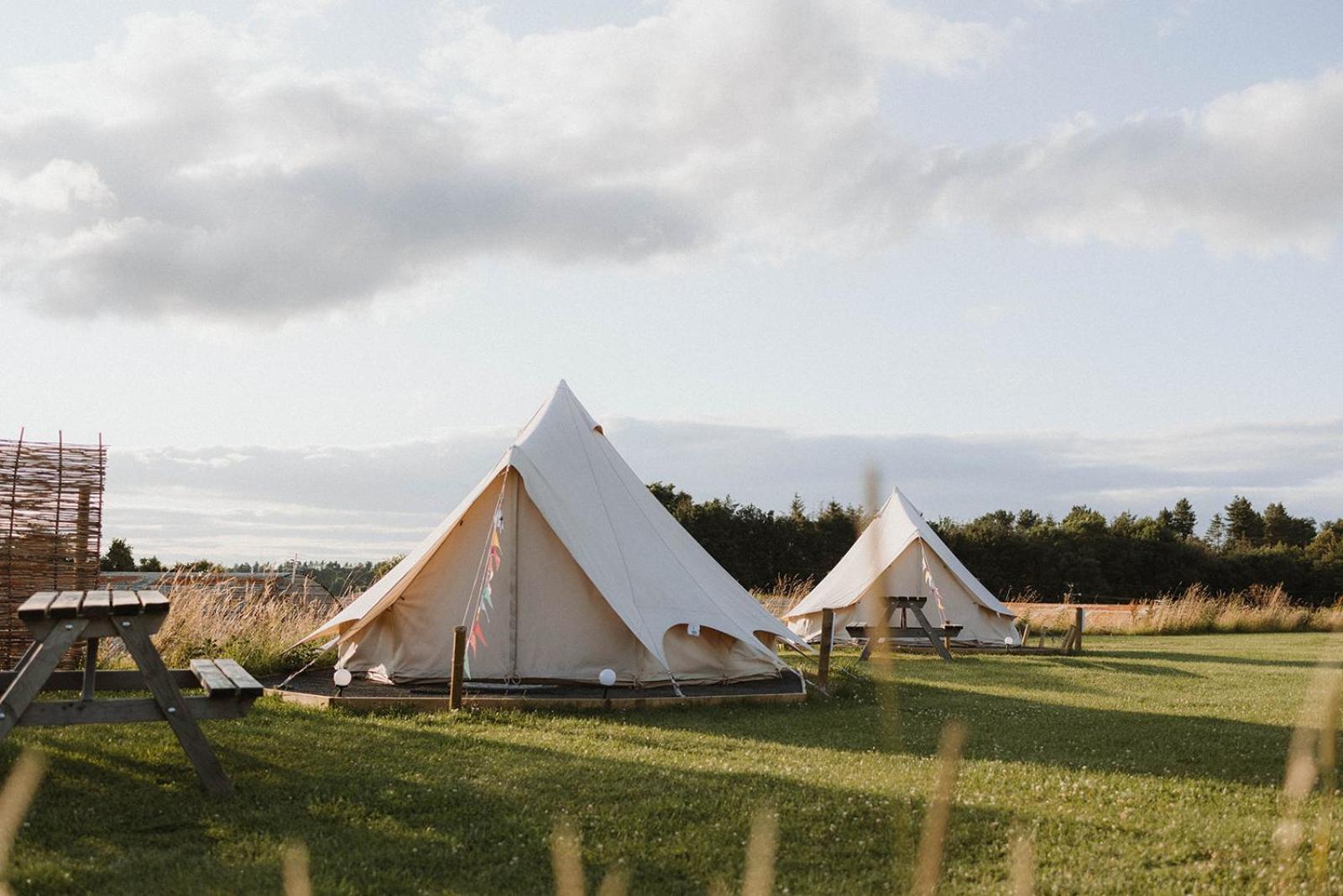 Doxford Farm * Alnwick