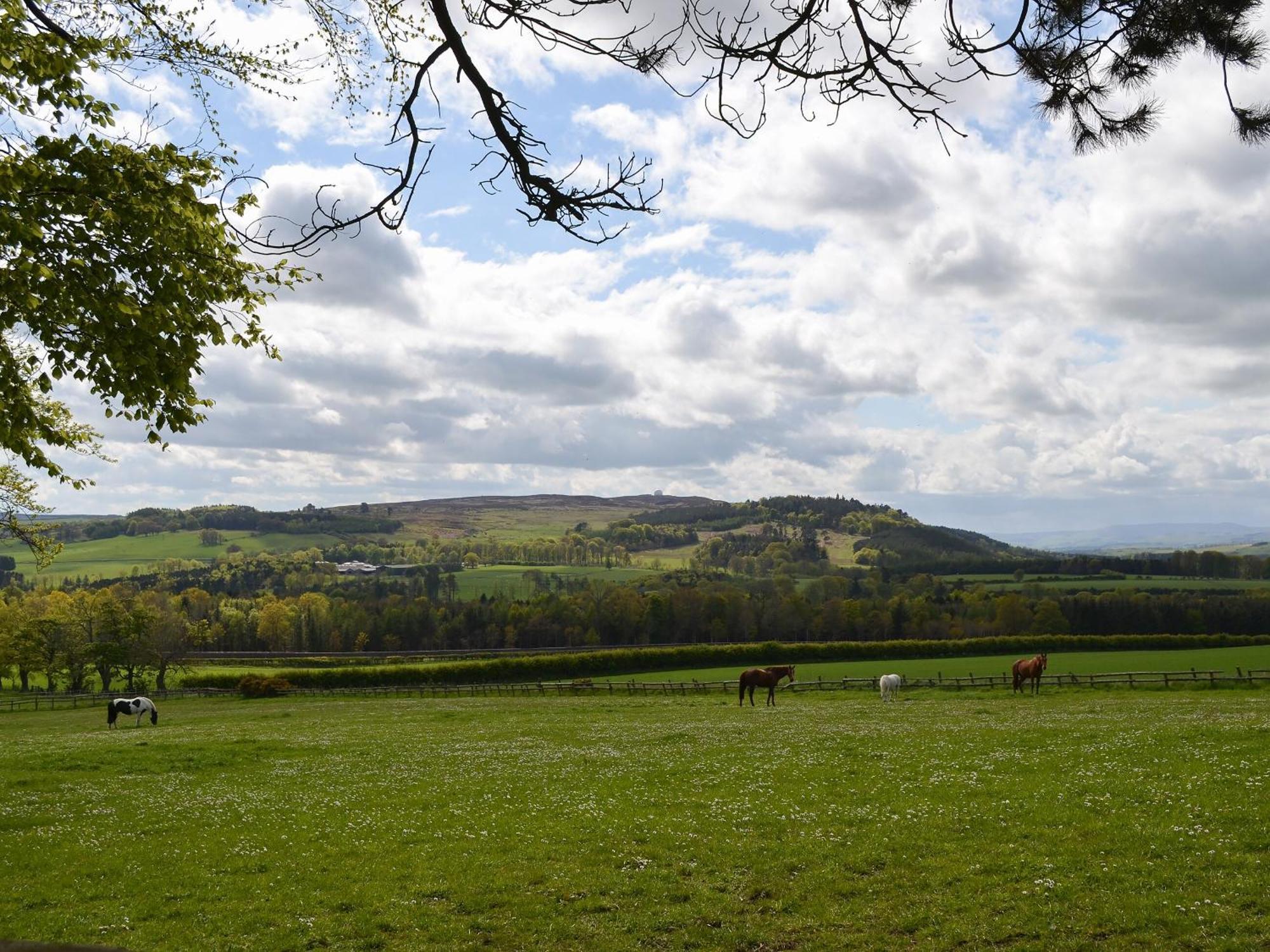 Paddock Holiday home Alnwick