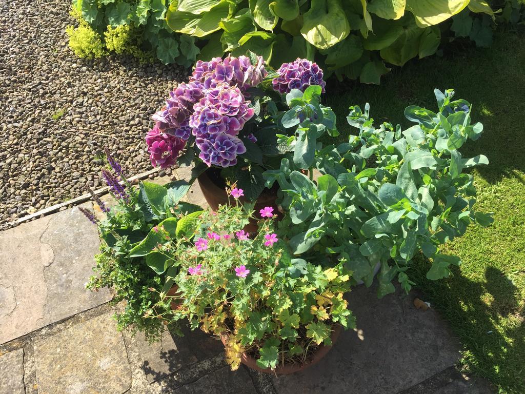 Bed & Breakfast Redfoot Lea 5*