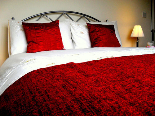Deneview Bed And Breakfast Alnwick