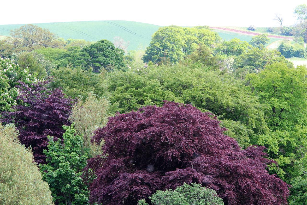Bed & Breakfast Redfoot Lea
