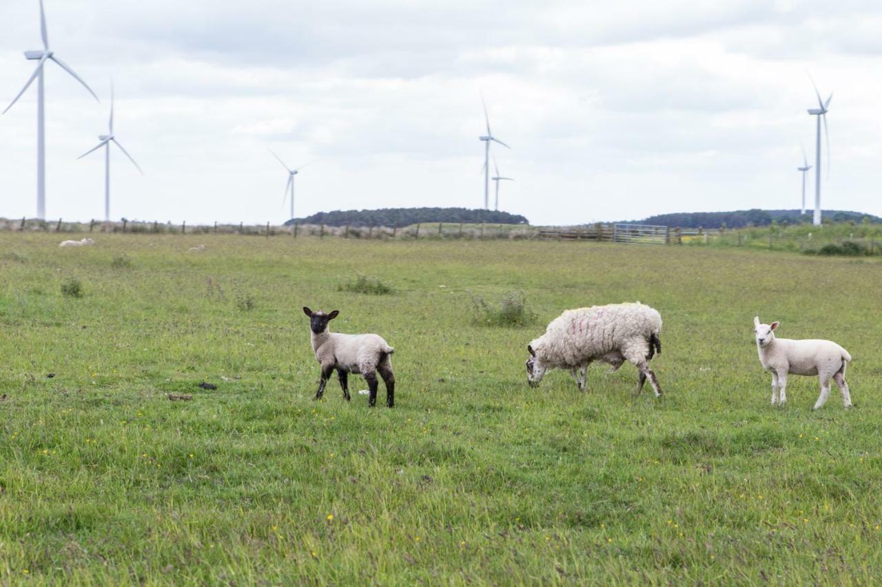 Middlemoor Farm Holidays * Alnwick